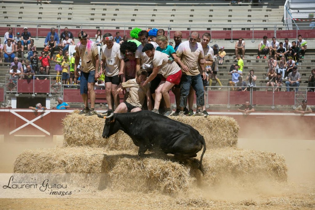 11334234_987078697978138_683139877887482433_o