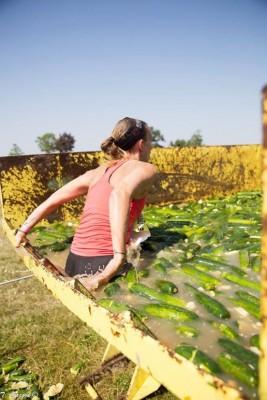 11336930_520839198063320_7614265980074394444_o