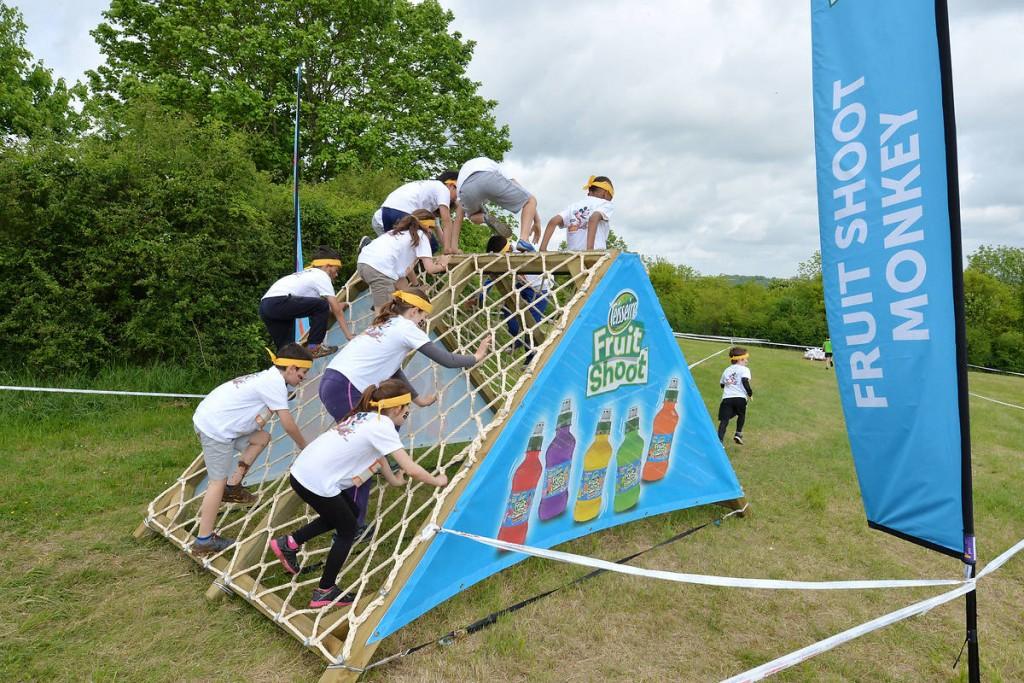 259579-echr0lptma-whr