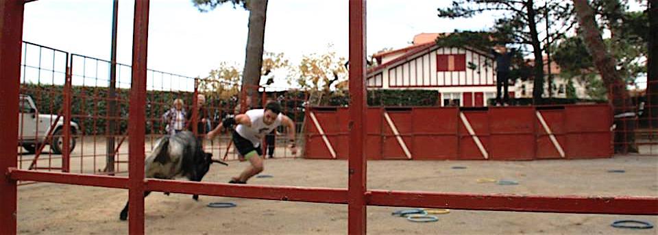 12112041_978623932181493_1565078170236979894_n