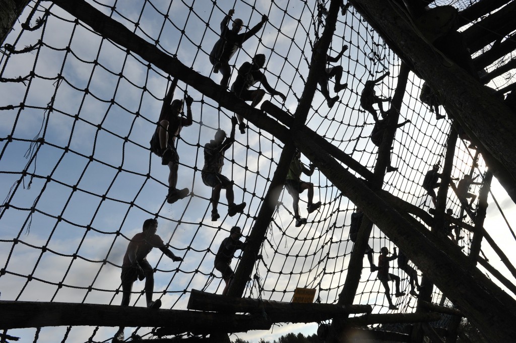 ToughGuy-Preview-tiger