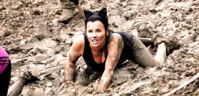 Preview-Ruee-Des-Fadas-Chat