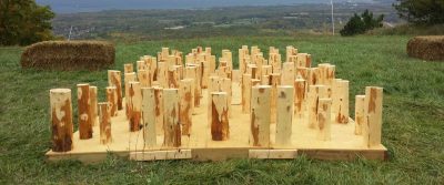 13-1310-plots