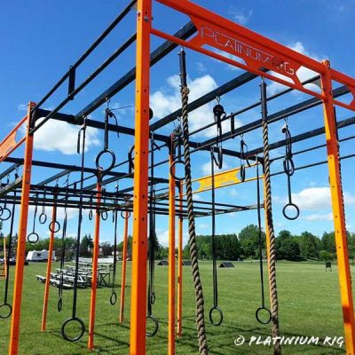 platiniumrig