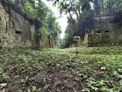 Bouge ton fort - direction
